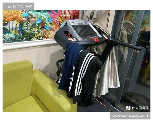 高端跑步机万元定价：性能还是智商税